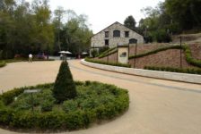 Buena Vista Winery Landscaping and Walking Path