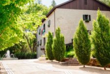 Buena Vista Winery Trees next to Path