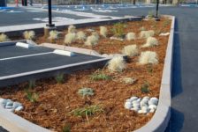 San Pablo Lytton Casino Parking Lot Bio-retention garden