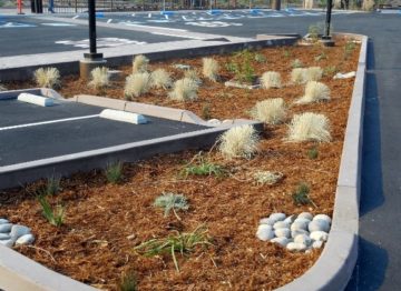 San Pablo Lytton Casino Parking Lot Bio-retention garden