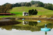 Pond at Chalk Hill