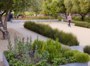 Medlock Ames Tasting Room and Bar Landscaping