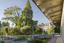 Medlock Ames Tasting Room Courtyard