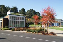 Mount Tamalpais School Campus Benches and Trees