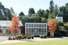 Mount Tamalpais School Campus - Lawn