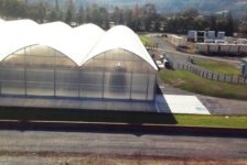 NovaVine Wholesale Plant Nursery Greenhouse