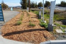 Shiloh Road Landscaping