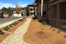 Spring Lake Village Senior Housing - Drainage and Landscaping