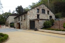 Buena Vista Winery Access Drive and Building