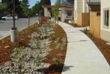 Sequoia Village Paved Pathway