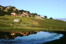 Nicholson Ranch Winery Pond, Vineyard, and Estate