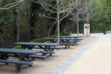 Buena Vista Winery Picnic Area