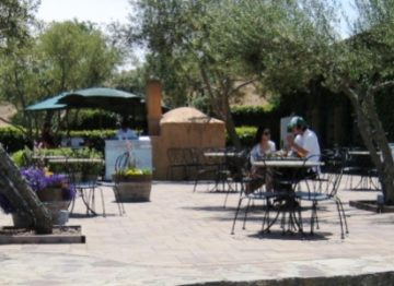 Viansa Winery Courtyard