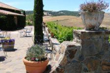 Viansa Winery Stone Wall around Courtyard