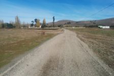 Devil Mountain Wholesale Nursery Completed Driveway