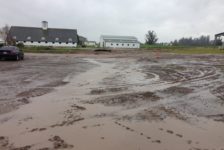 Devil Mountain Wholesale Nursery Parking Area before Construction