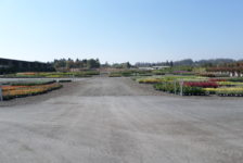 Devil Mountain Wholesale Nursery Grounds After Construction