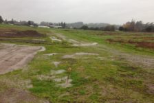 Devil Mountain Wholesale Nursery Pre-Construction After Rain