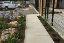 La Luz Center Landscaping