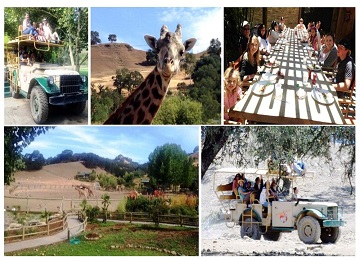 Collage of Corporate Trip to Safari West