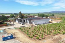 Aerial Shot of Aperture Cellars Vineyard