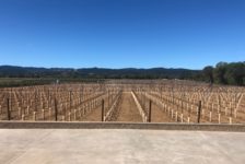 Aperture Cellars - Beginnings of a Vineyard