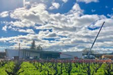 Aperture Cellars Vineyard Under the Clouds