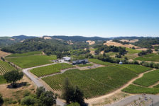 MacRostie Aerial View of Vineyard