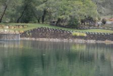 Adobe Canyon Estates Pond