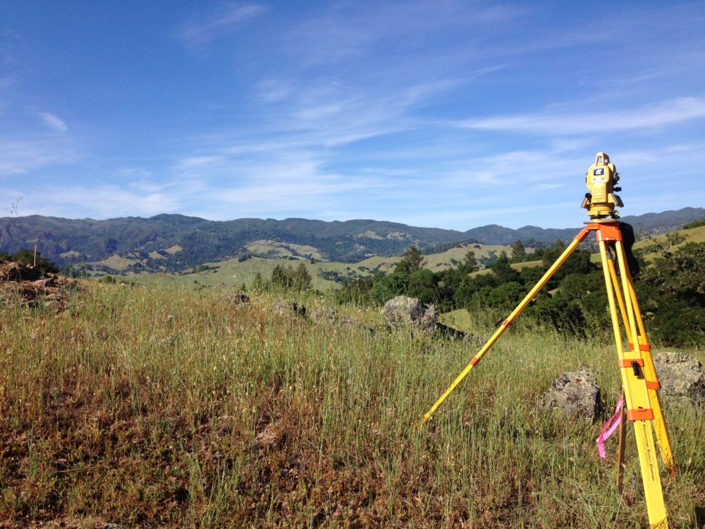 Land Surveyor Job