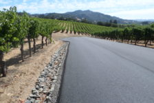 Robert Young Winery Driveway Next to Vineyard
