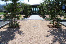 Robert Young Winery Landscaping in Parking Area