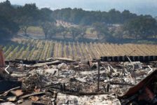 Paradise Ridge Winery Fire Aftermath