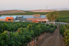 Cuvaison Estate Wines - Within the Vineyard