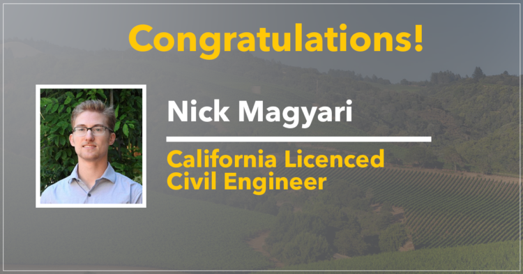 Nick Magyari, Professional Engineer