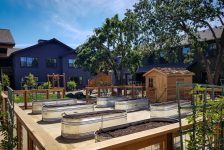 Alta Madrone Family Apartment Garden Area