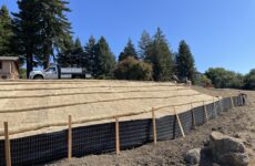 Image of Erosion Control on a recently graded slope.